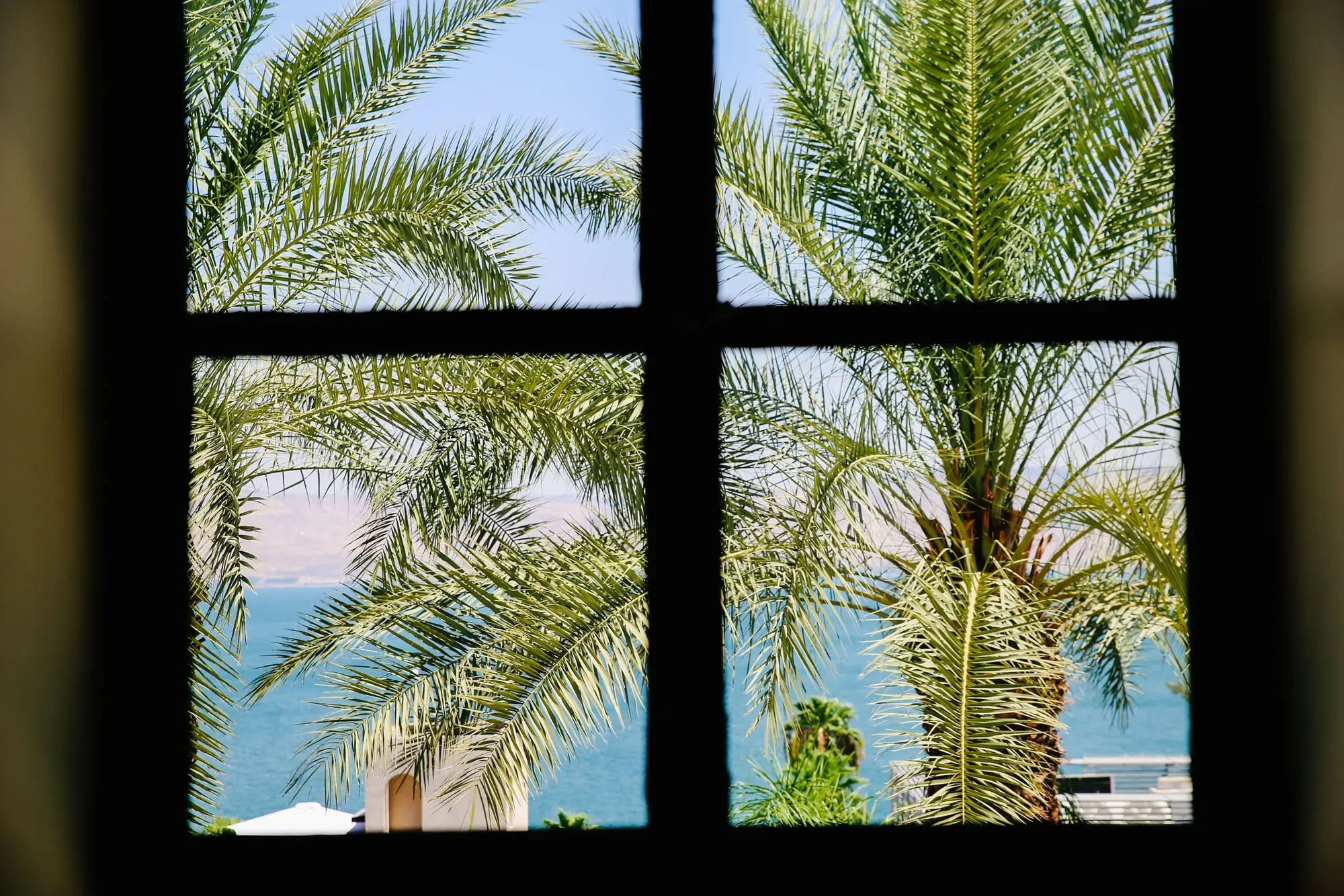 Vue — vue mer entre les palmiers